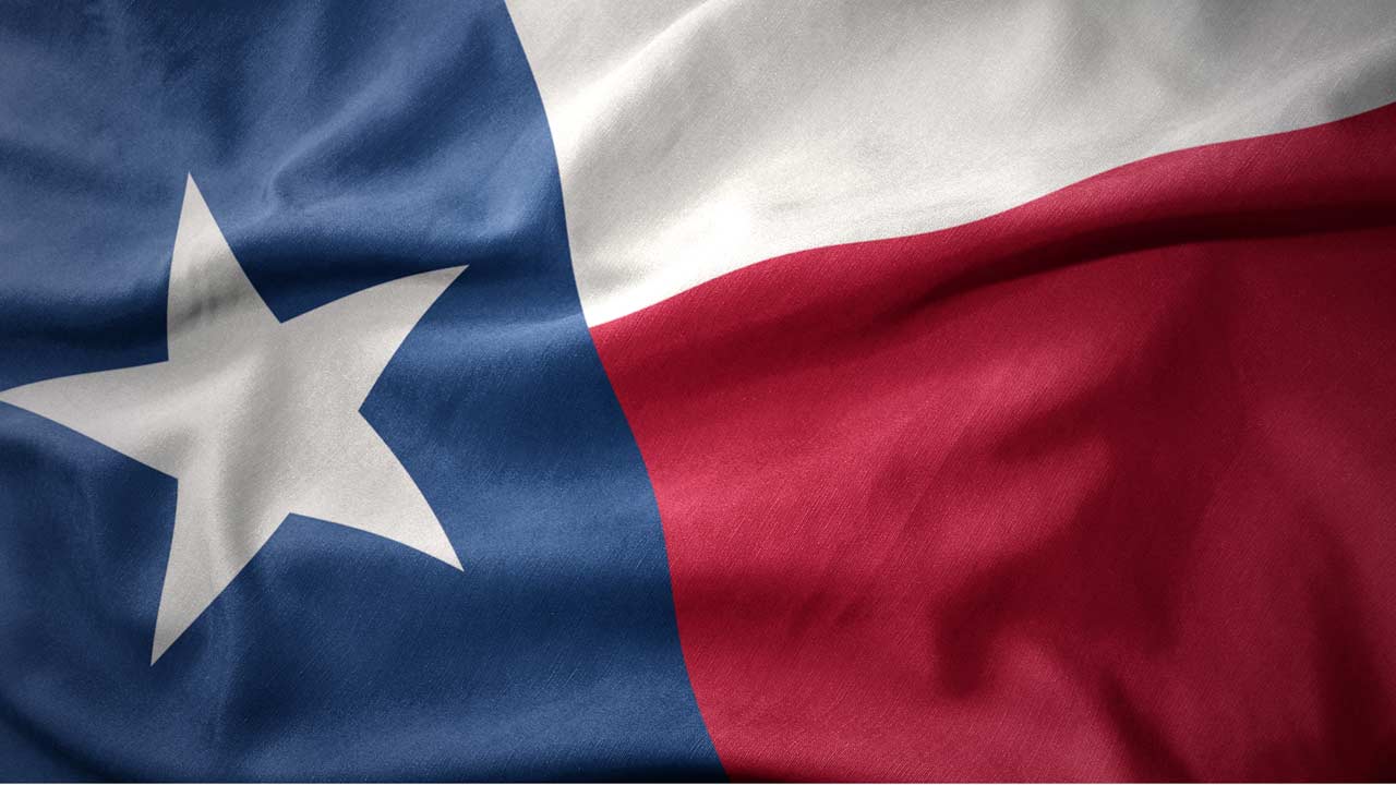 Texas Flag