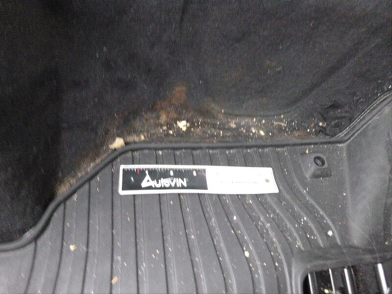 Damaged carpet