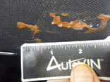 Torn upholstery